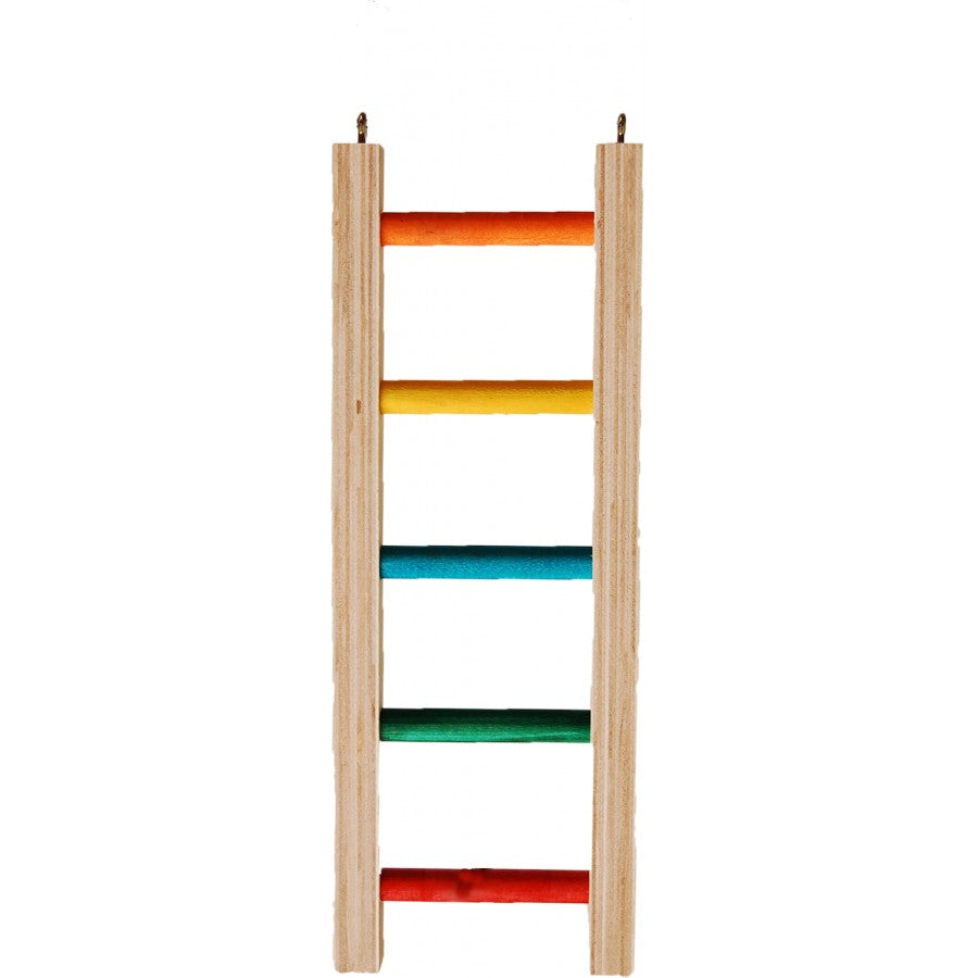 Rainbow Ladder Perch – Animalaholic shop
